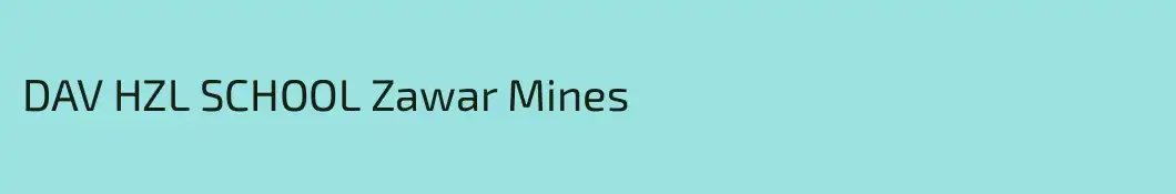 DAV HZL SCHOOL Zawar Mines